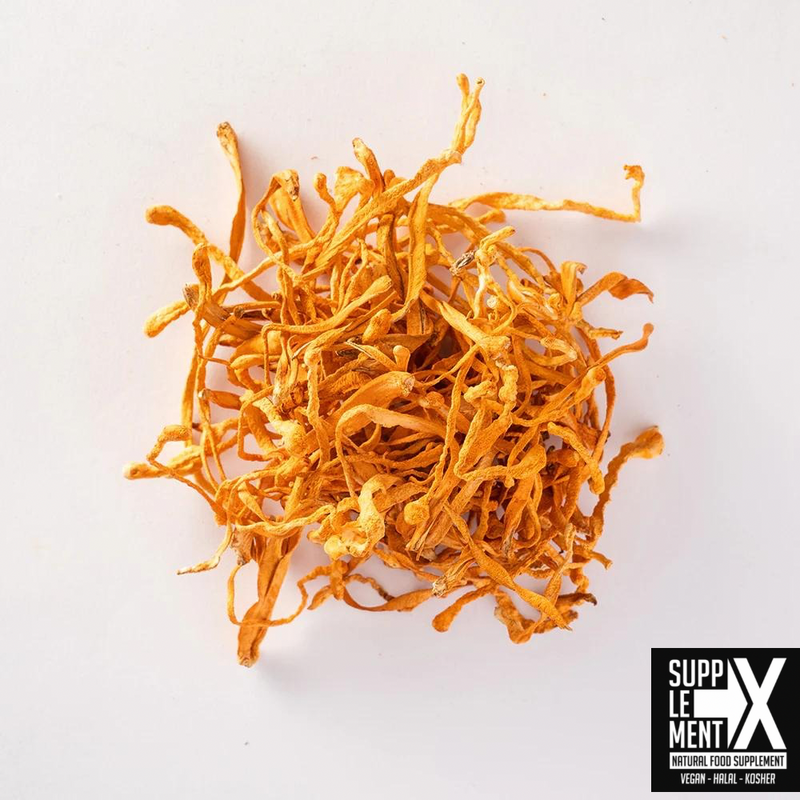WHY DO ATHLETES TAKE CORDYCEPS?
