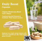 LIONS MANE (60caps) 2000mg